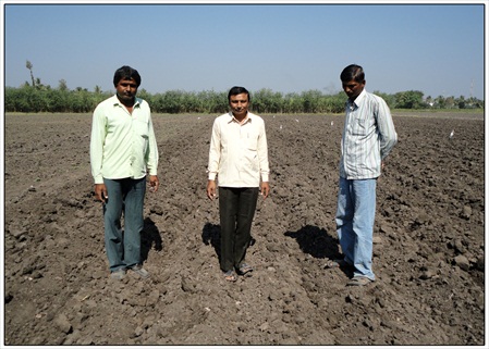 seed distribution at Alidhar under seed village programme 03