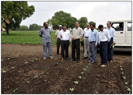 2012july13 rajkot kvk training & field visit (6)